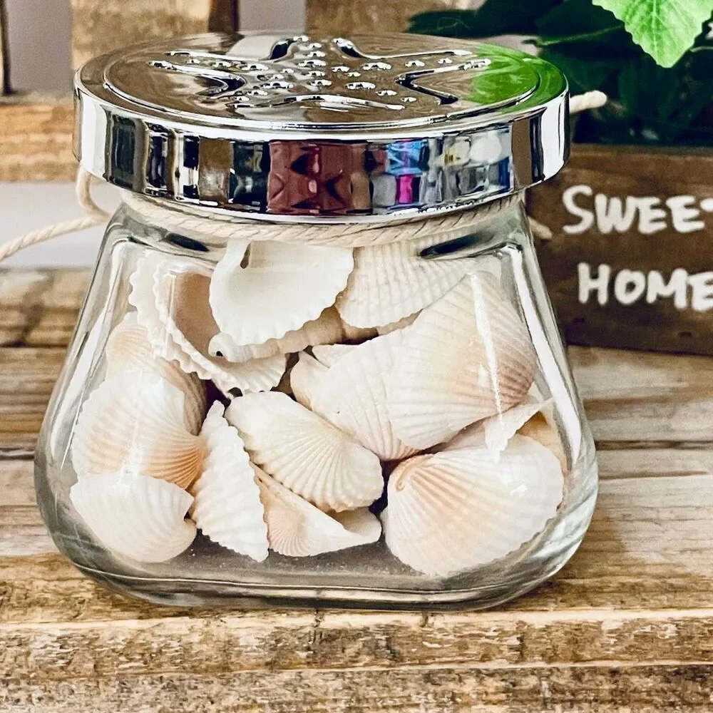 NWT GC Naturals VANILLA COCONUT scented seashells Decorative Glass Aroma Jar